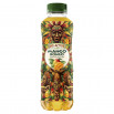 Big-Active Mango Bongo Napój owocowo-herbaciany o smaku mango 500 ml