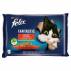 Felix Fantastic Karma dla kotów wiejskie smaki w galaretce 340 g (4 x 85 g)