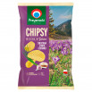 Przysnacki Chipsy śmietana z nutą czosnku 130 g
