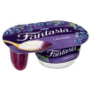 Fantasia Jogurt kremowy z jagodami 118 g