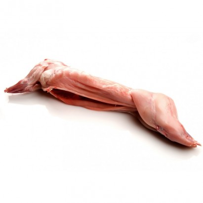 Królik