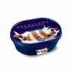 Ice Mastry Lody Excellent Śmietankowo-Czekoladowy 1l