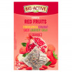 Big-Active Red Fruits Herbatka 45 g (20 x 2,25 g)